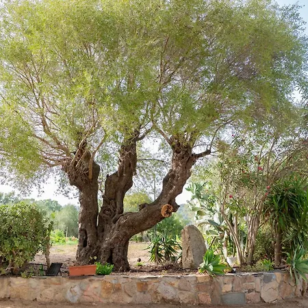 Residenze Camboni Castiadas
